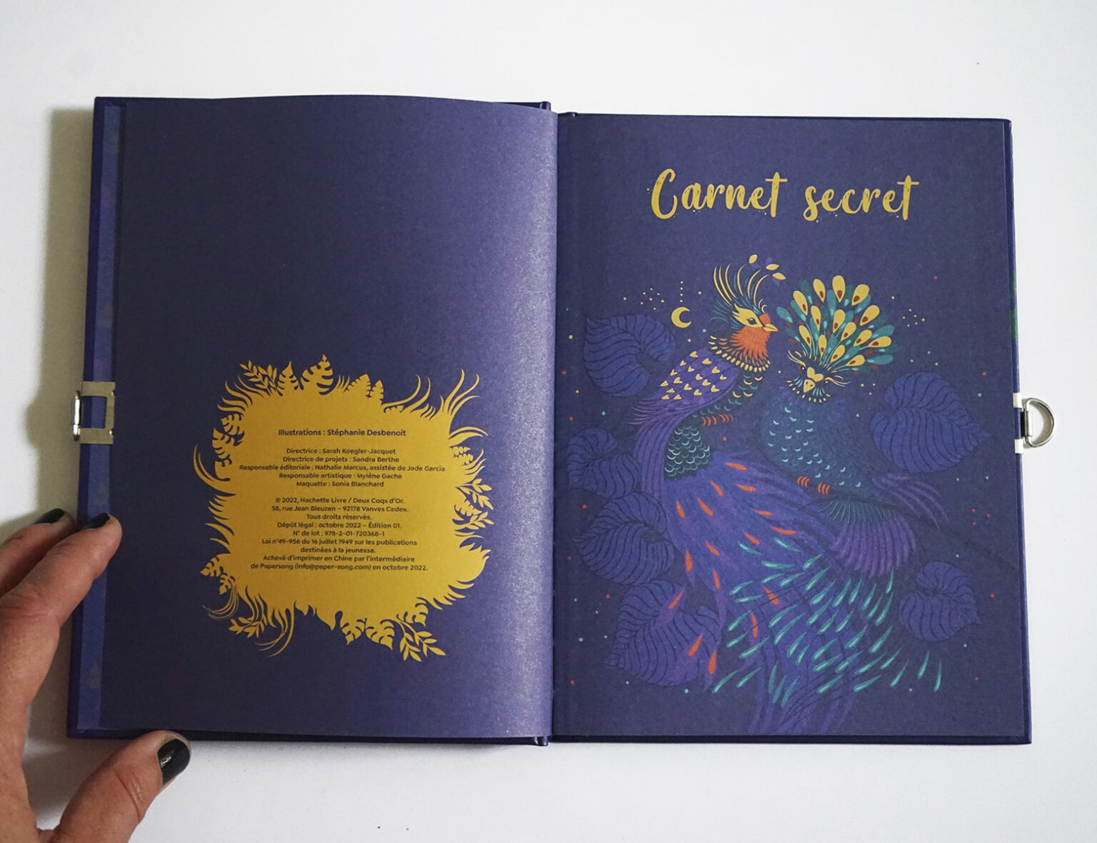 Carnet secret – Stéphanie Desbenoit