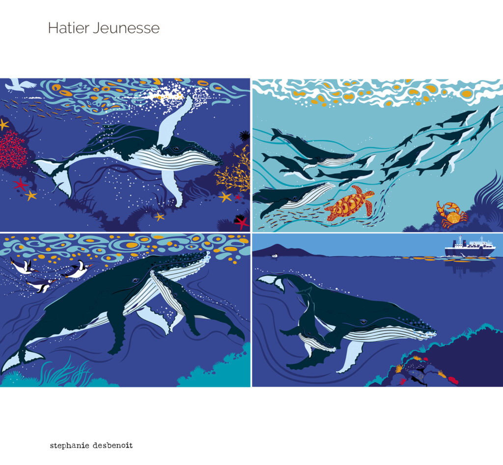 Mon histoire de baleine à bosse