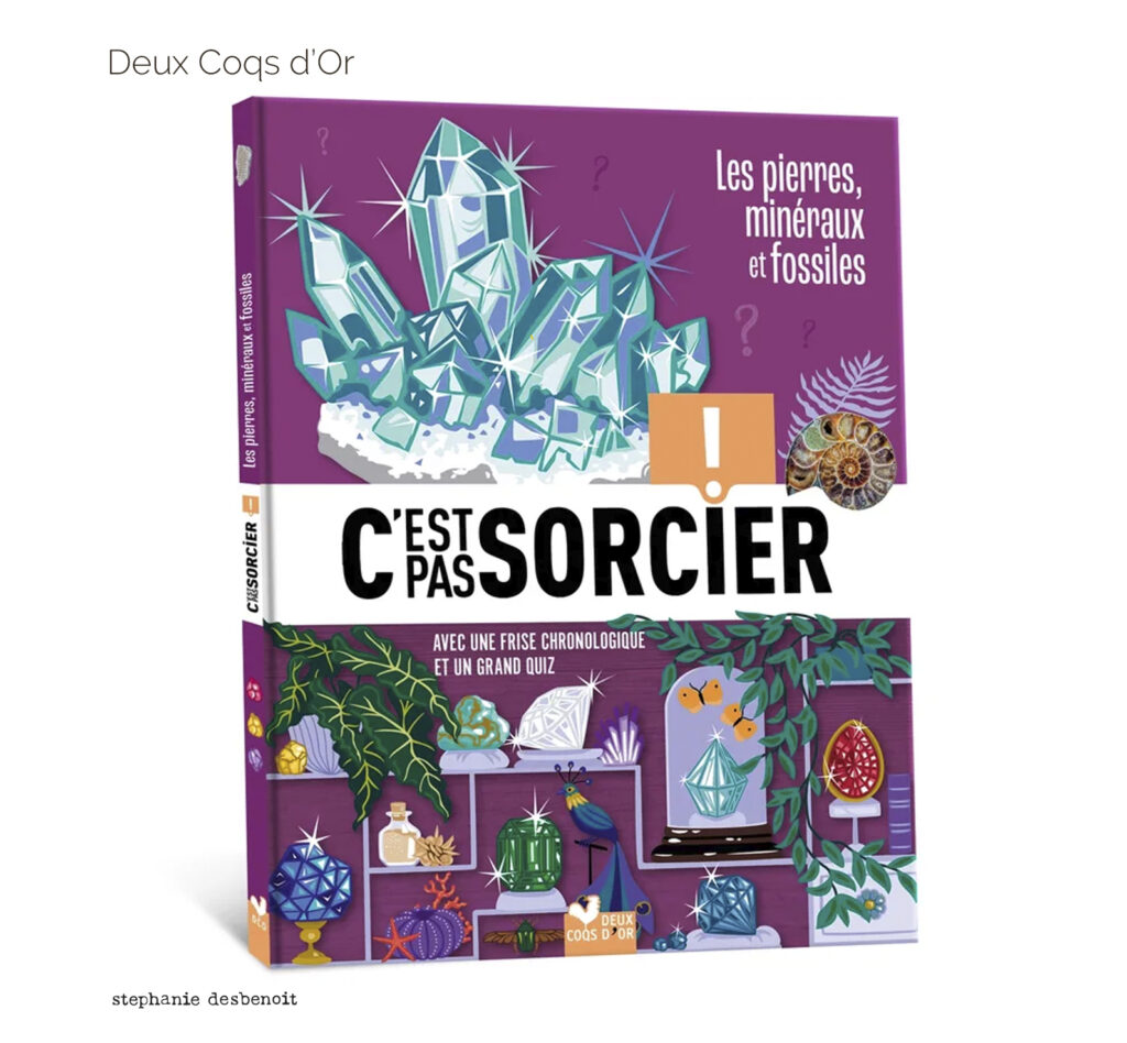 C'est pas sorcier • Les pierres, minéraux et fossiles